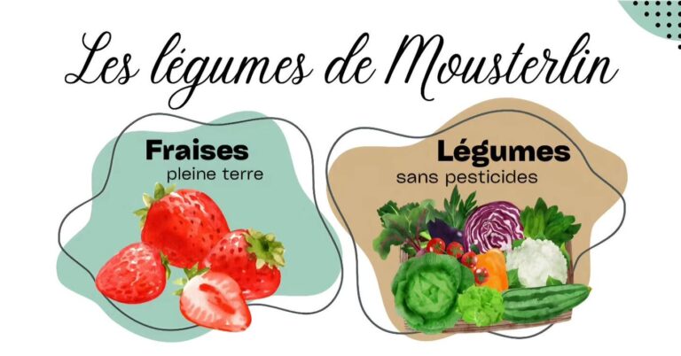 Venez decouvrir notre gamme de legumes sans pesticides legumestraiteurcombritsaintemarine 1 122194337870908921 - Combrit Bénodet Venez decouvrir notre gamme de legumes sans pesticides legumestraiteurcombritsaintemarine 1 122194337870908921 - Combrit Bénodet